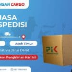 Ekspedisi Jakarta Aceh Timur via Cargo Darat