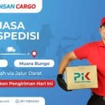 Ekspedisi Jakarta Muara Bungo Ada Promo Hemat
