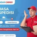 Ekspedisi Jember Palembang NO Ribet, Bisa Pickup